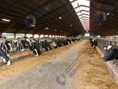 Edificio de coba de metal prefabricado